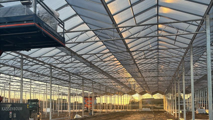 Das Gewächshaus selbst ist mit moderner Technik ausgestattet, um den Energieverbrauch gering zu halten. Dann reichen auch die Erträge aus dem Solar- und dem Windpark, um die Energieversorgung ganzjährig abzusichern.