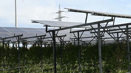 Mit fortschreitender Energiewende muss der Solarstrom nicht nur ins Netz, sondern ins gesamte Energiesystem cleverer integriert werden.