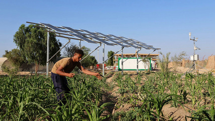 Mit dem Projekt in Ägypten verfolgen die Partner das Ziel, Landwirtschaft in ariden Wüstenregionen zu verbessern und gleichzeitig sauberen Strom zu produzieren.