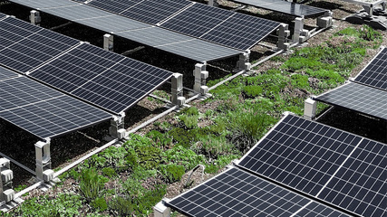 Die Nachrüstung von Gründächern mit Solaranlagen und die Planung eines vorgeschriebenen Schutzes gegen Absturz zeigen unsere Experten von Ernst Schweizer und Solid-C im Webinar.